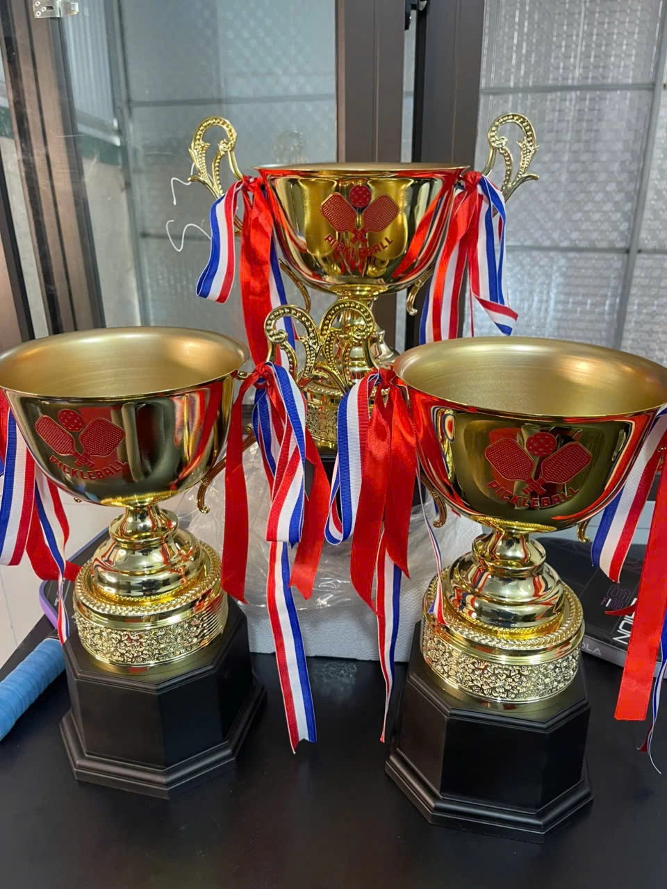 Cup Pickleball